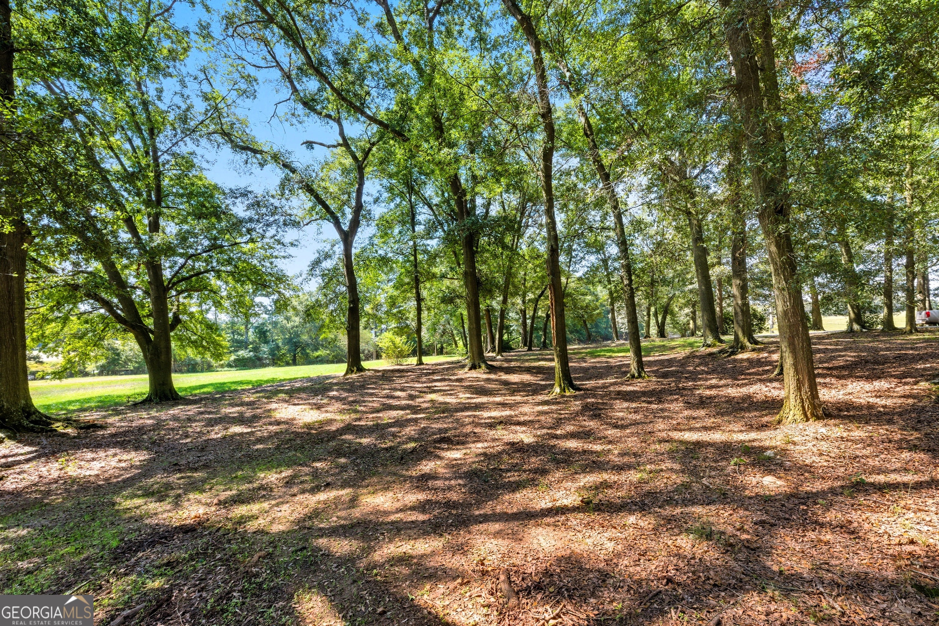 1320 Burroughs Road Lavonia, GA 30553 - Photo 28 of 48