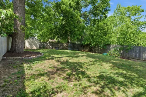 a view of a tree in a yard