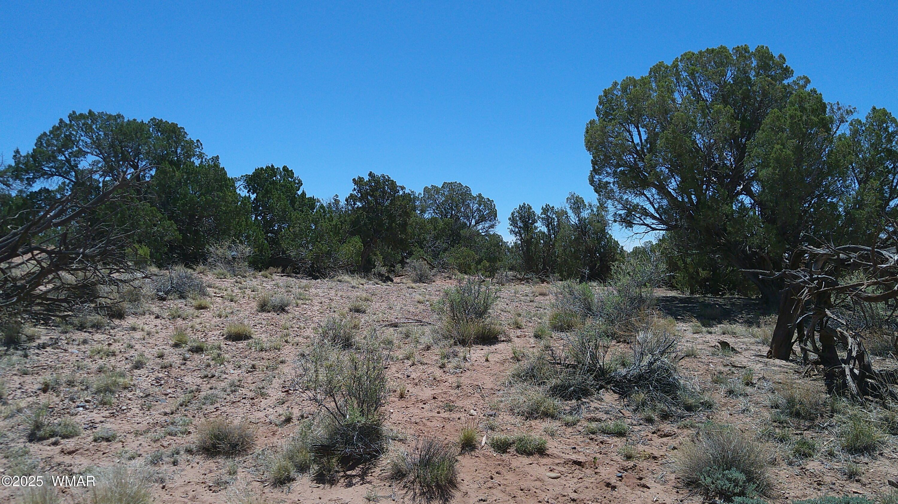 Tbd Tbd Rio Ranch Concho, AZ 85924 - Photo 22 of 44 DSCF0038