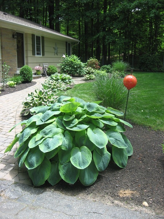 27 Whittemore Road Sturbridge, MA 01566 - Photo 4 of 29 Gallery Image 4