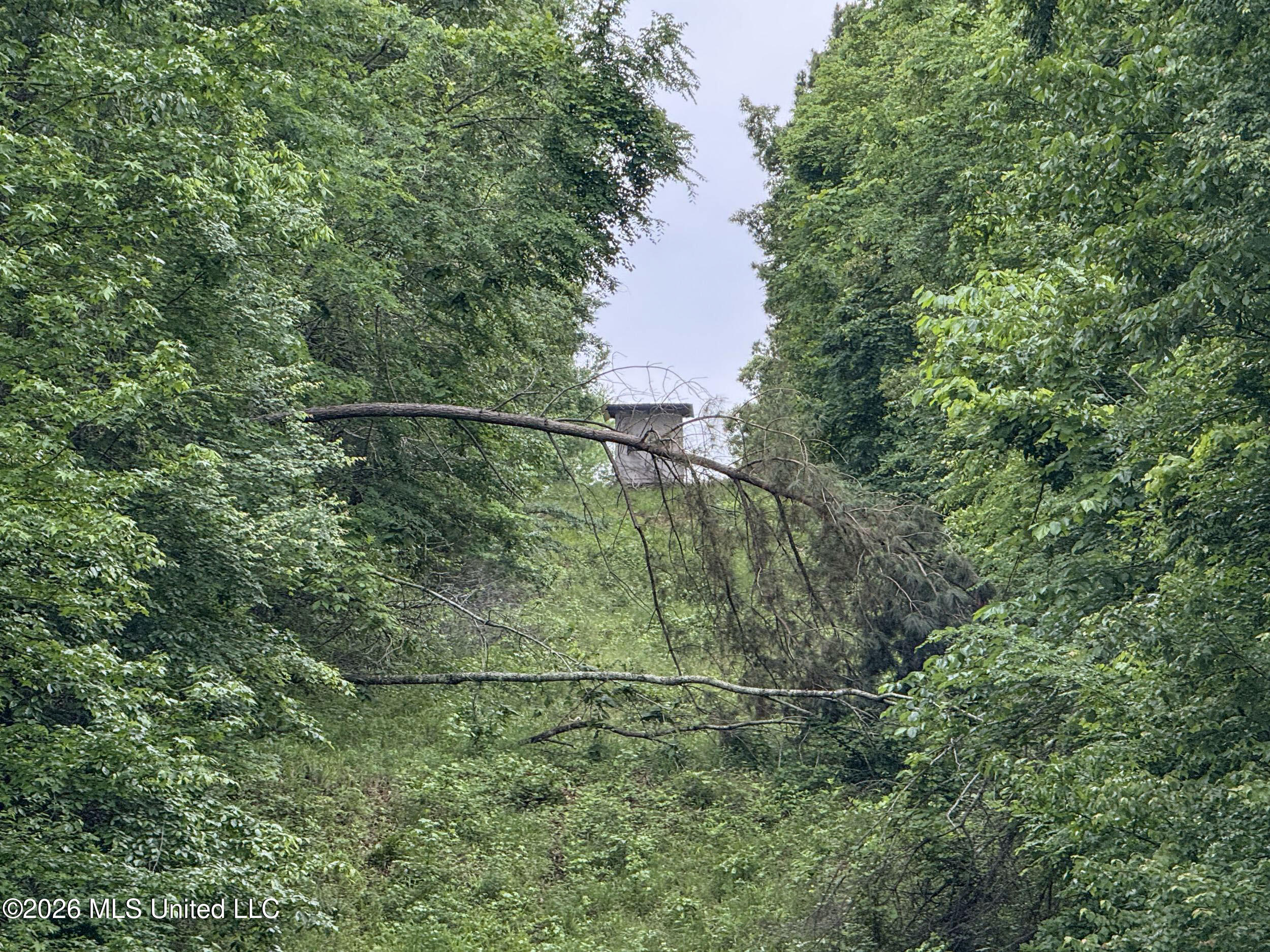 Wayne Massie Road Como, MS 38619 - Photo 115 of 184 5cdtbs49