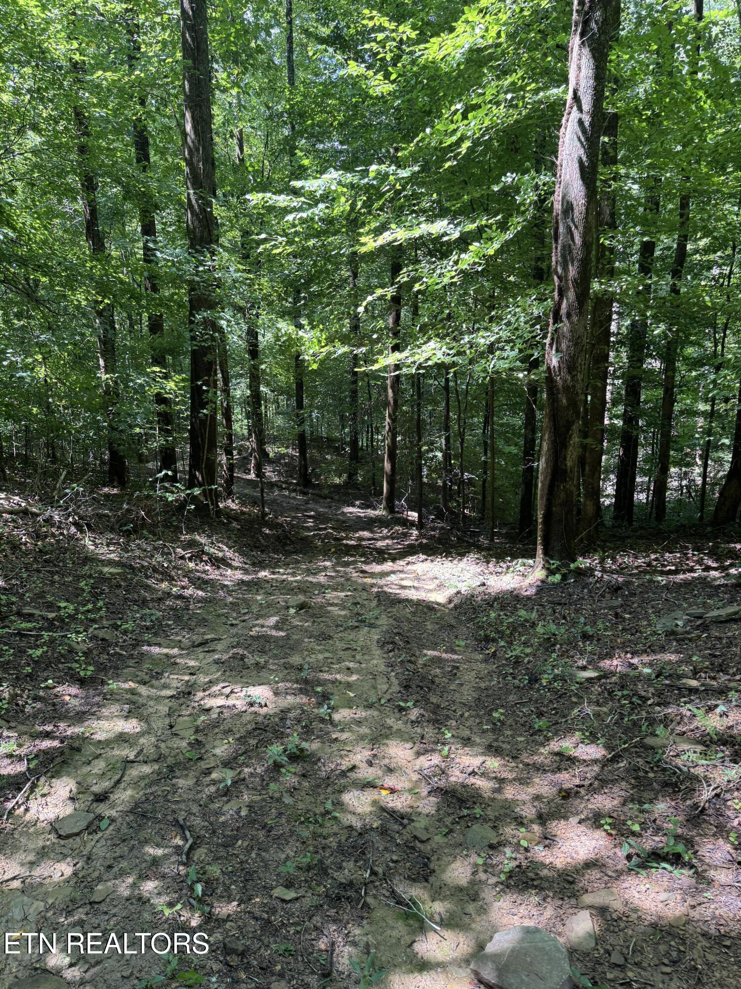 557 Half Moon Road Oliver Springs, TN 37840 - Photo 29 of 48 IMG_5079