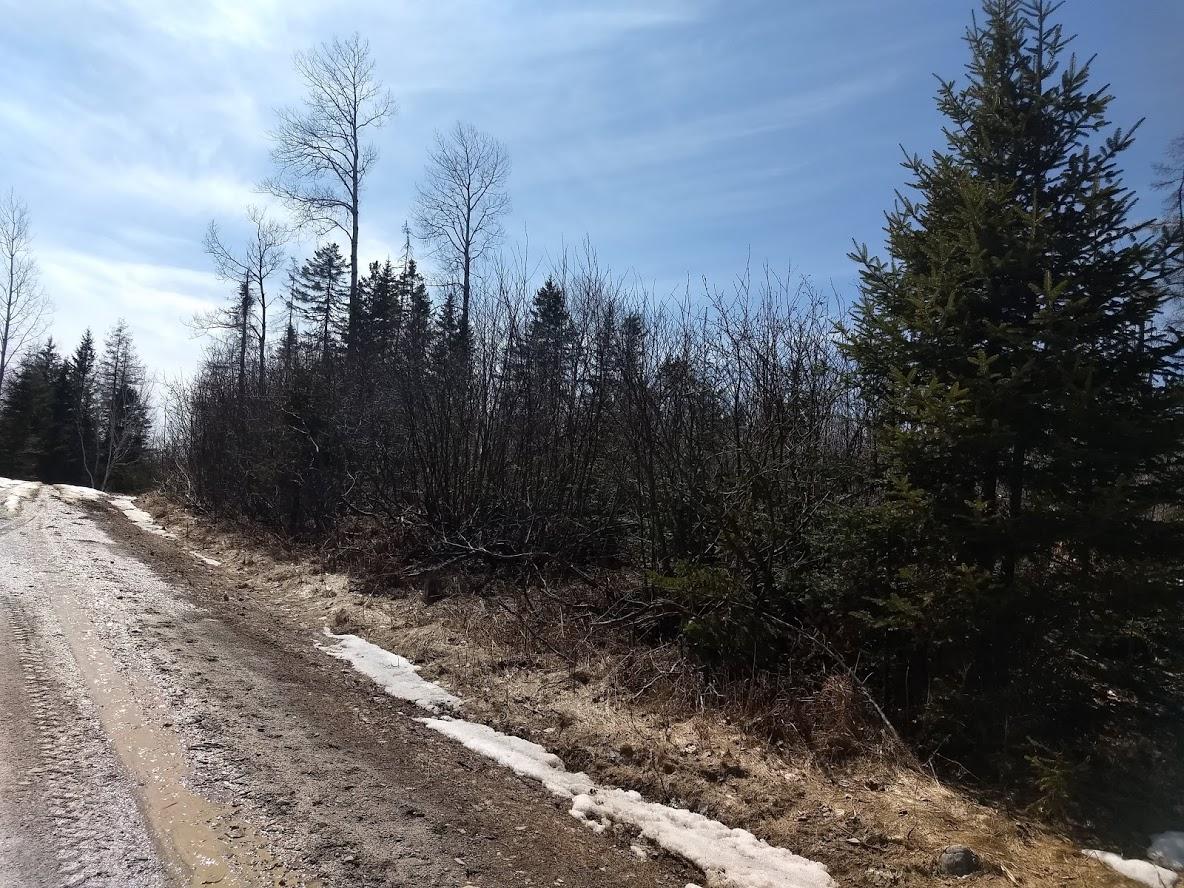 Lot S Lot S Off Haney Road Orient, ME 04471 - Photo 5 of 6 IMG_20200420_134151818