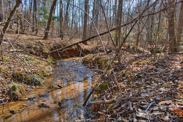 $45,000 | 0 Woodstock Lane, Unit 170, Rutherfordton, NC 28139