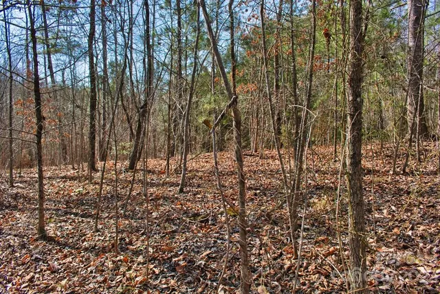 $45,000 | 0 Woodstock Lane, Unit 170, Rutherfordton, NC 28139