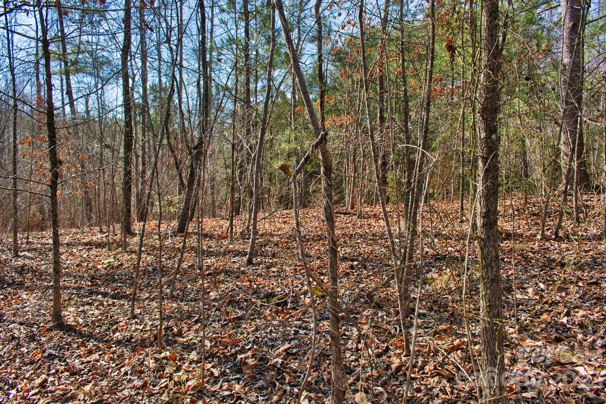 0 Woodstock Lane, Unit 170 Rutherfordton, NC 28139 - Photo 3 of 5