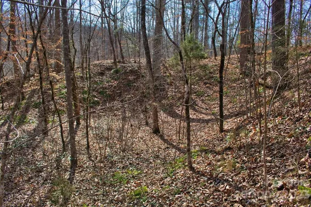 $45,000 | 0 Woodstock Lane, Unit 170, Rutherfordton, NC 28139