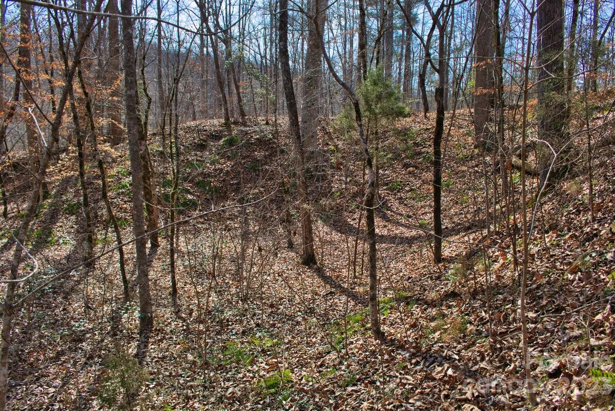 0 Woodstock Lane, Unit 170 Rutherfordton, NC 28139 - Photo 4 of 5