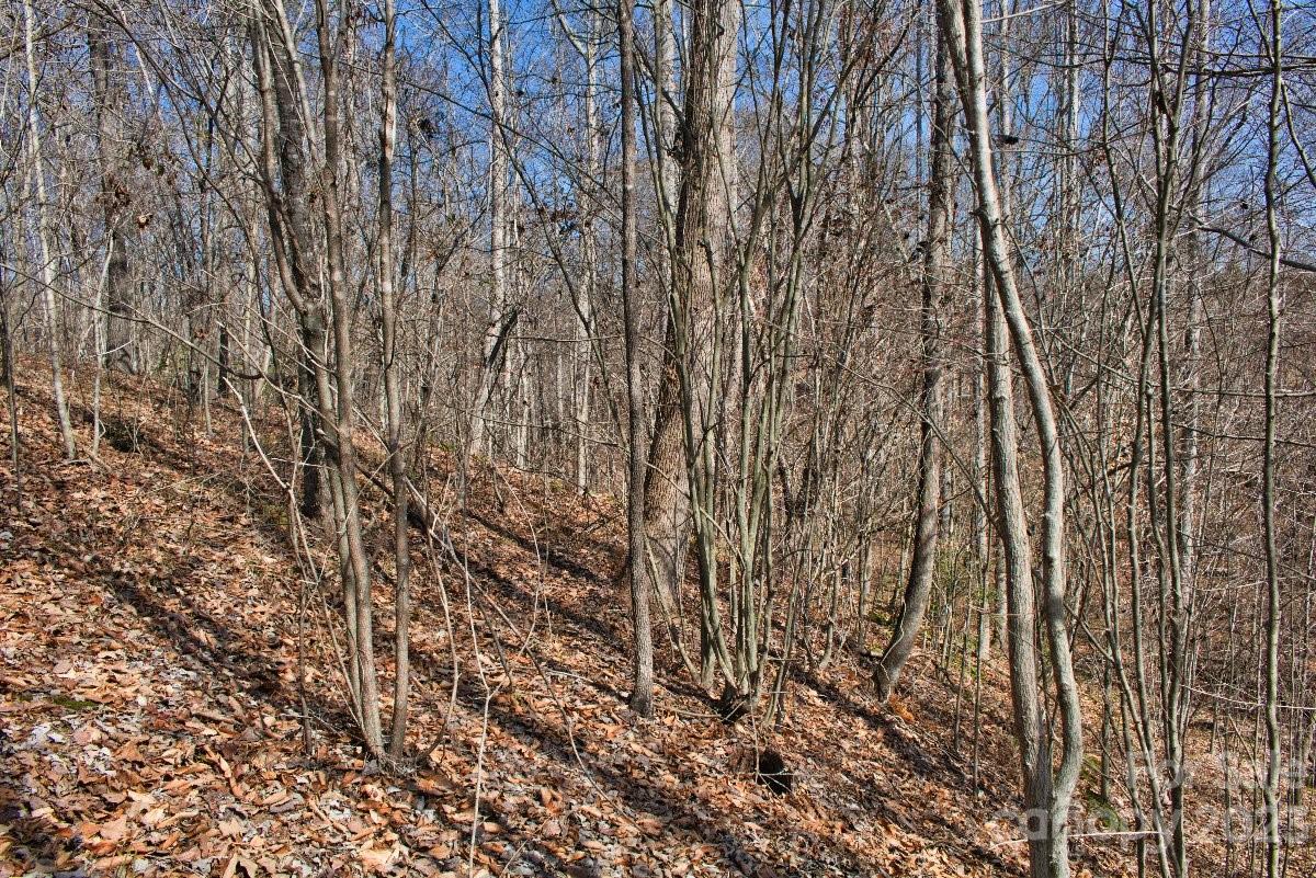 0 Woodstock Lane, Unit 170 Rutherfordton, NC 28139 - Photo 5 of 5