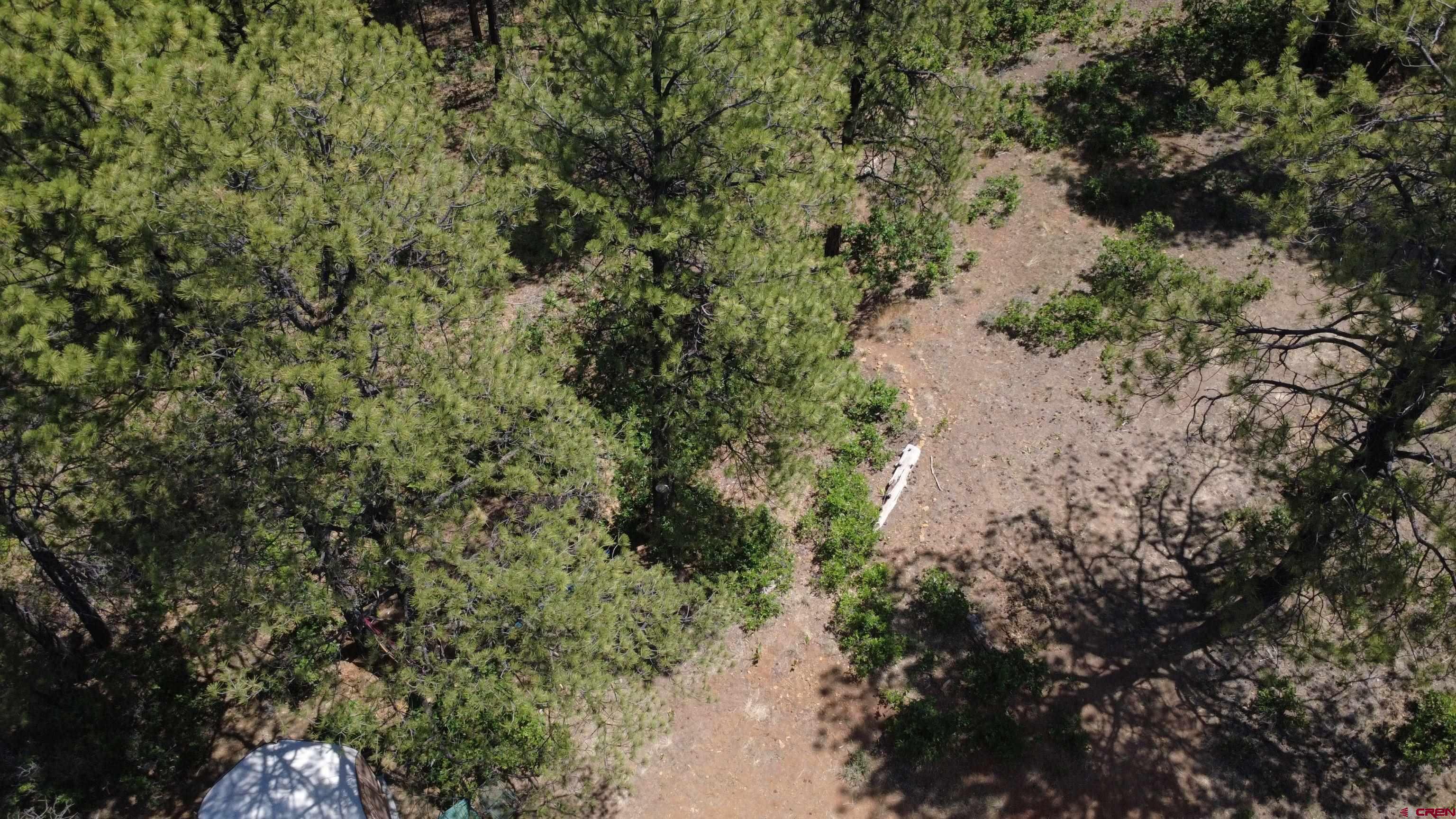 121 Engineer Point Pagosa Springs, CO 81147 - Photo 28 of 43