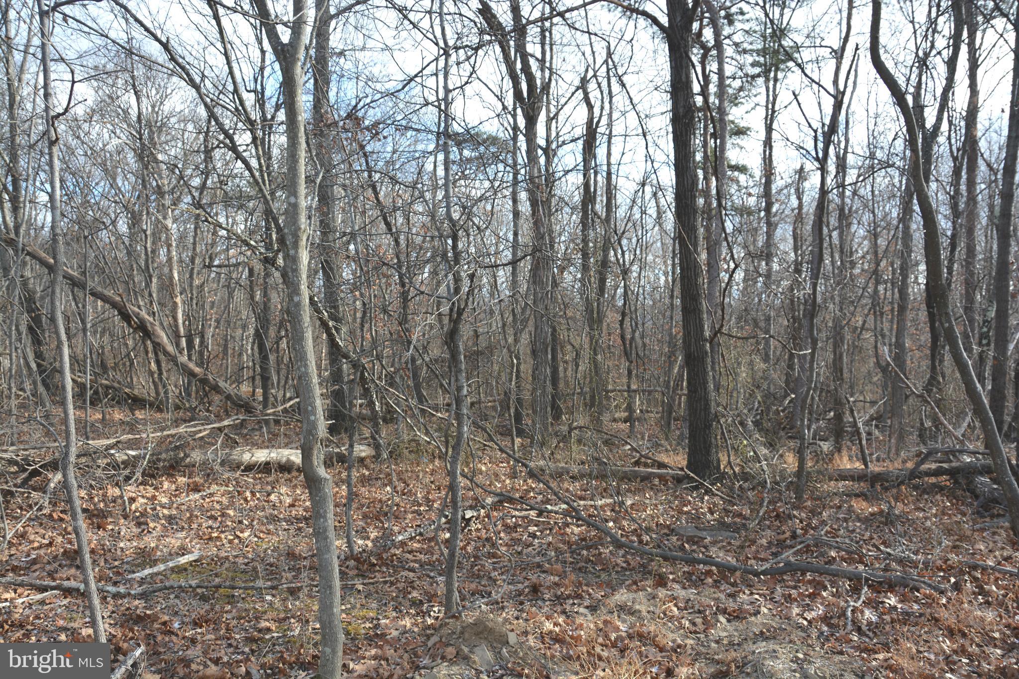 South Timber Ridge Road Cross Junction, VA 22625 - Photo 4 of 7 Septic approved (4 bedroom).