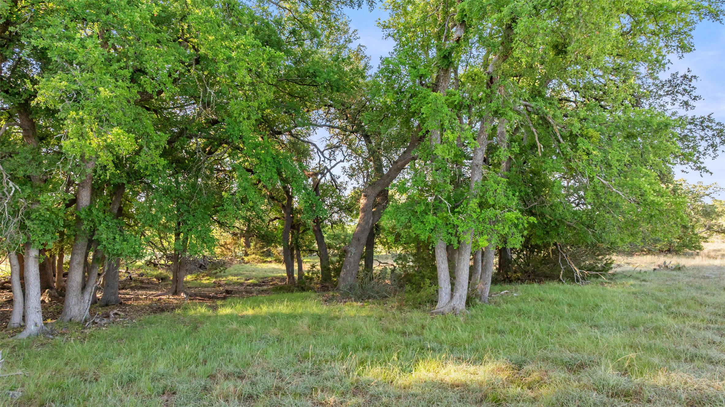 Lot 3 Vista Rdg Drive Round Mountain, TX 78663 - Photo 5 of 15 View of local wilderness