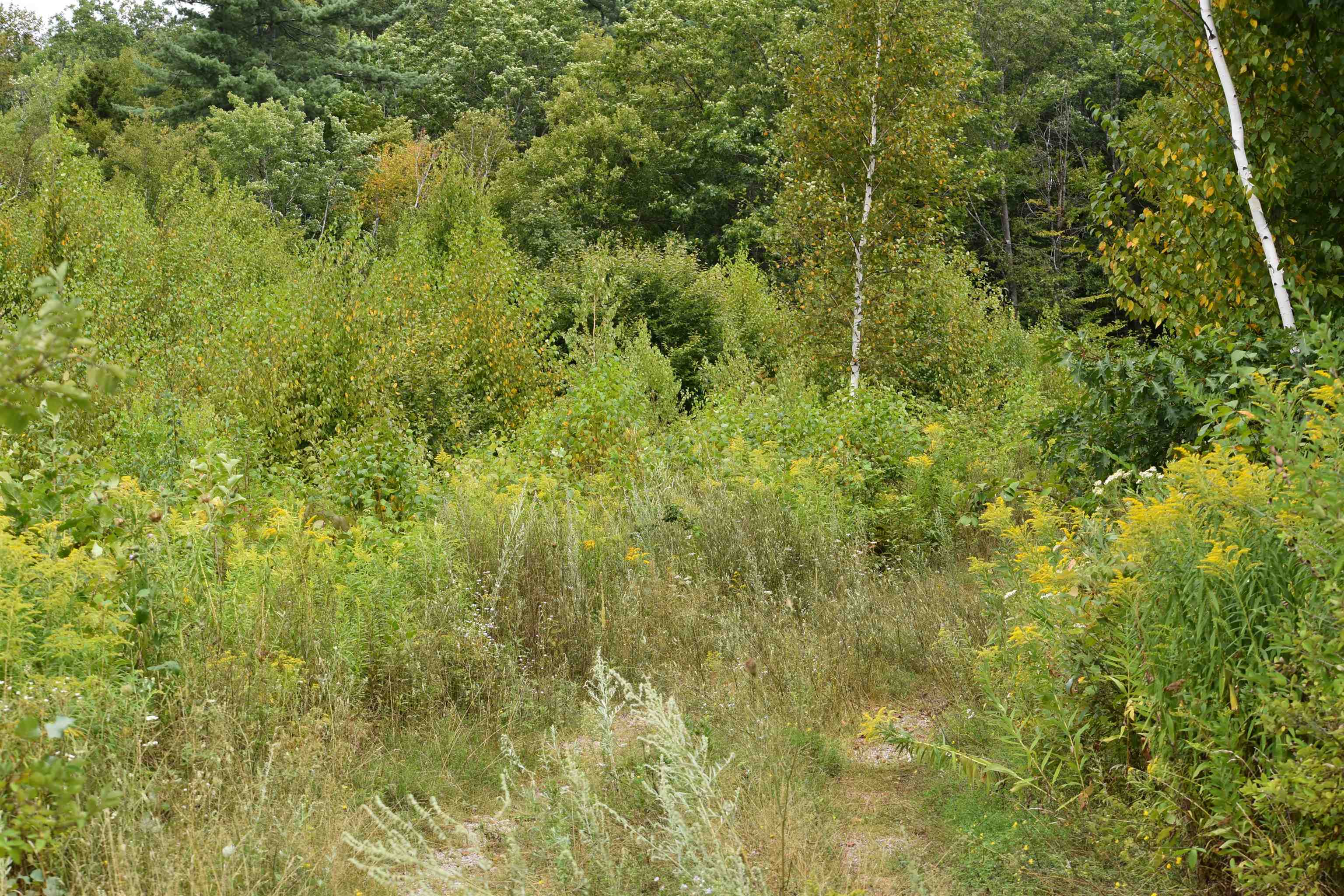 0 Thistle Hl Place, Unit LOT #8 Rutland, VT 05701 - Photo 8 of 9