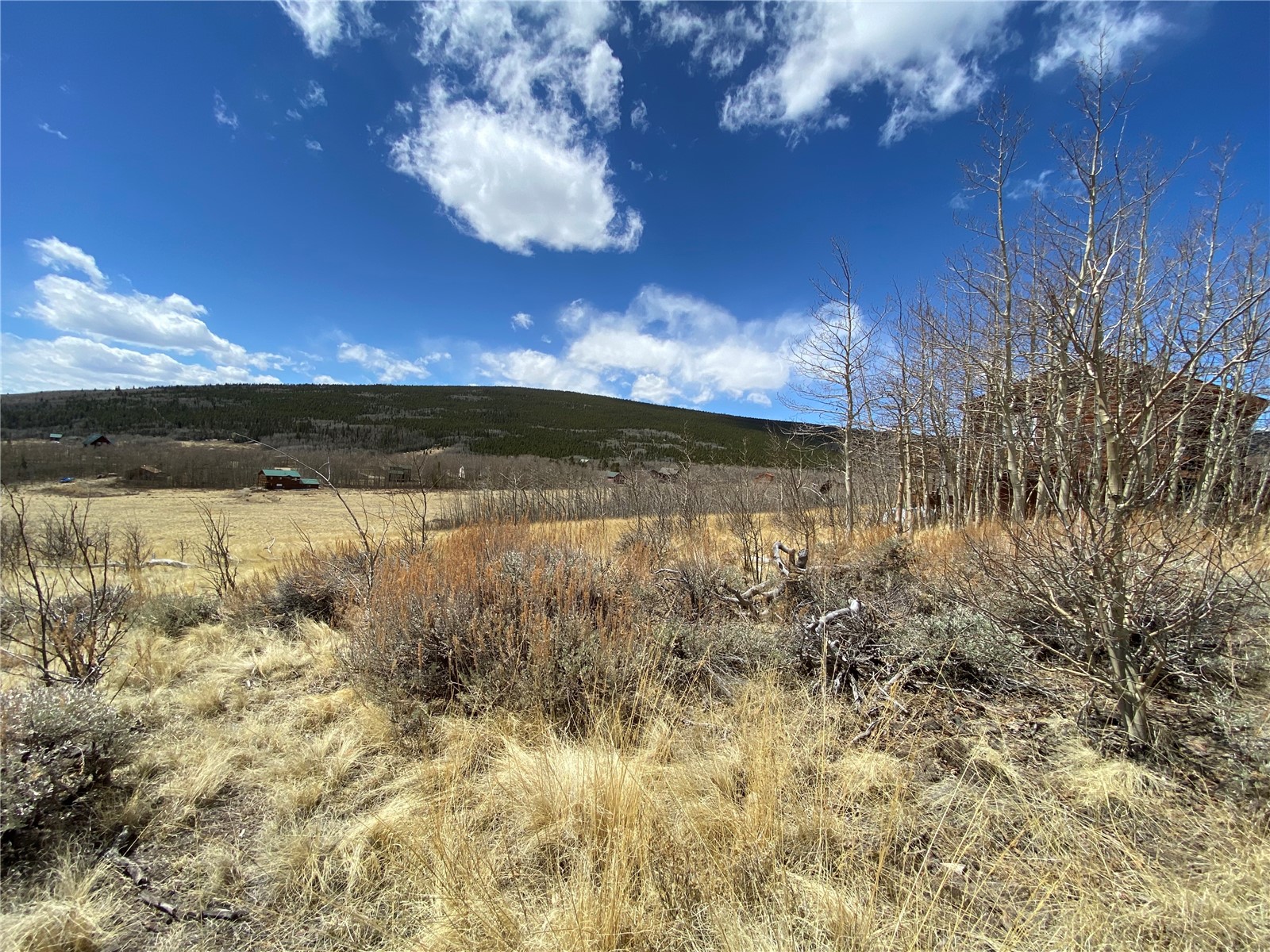 290 Sheep Ridge Road Fairplay, CO 80440 - Photo 36 of 40 Gallery Image 36