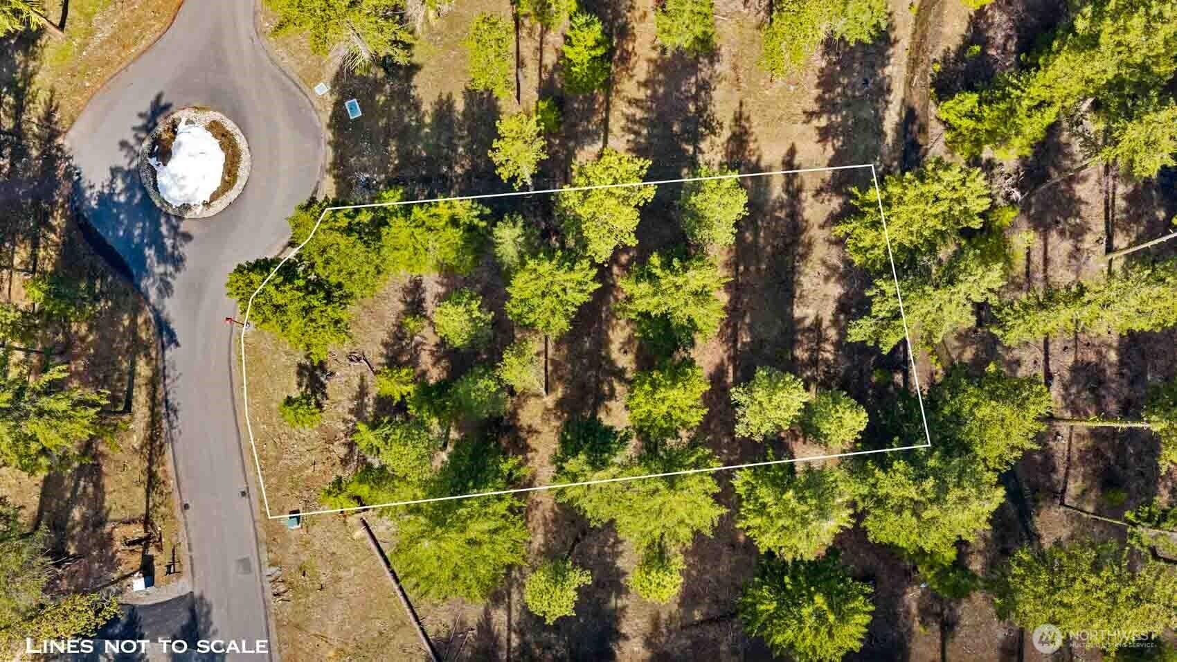 60 Wanawish Loop Ronald, WA 98940 - Photo 6 of 14