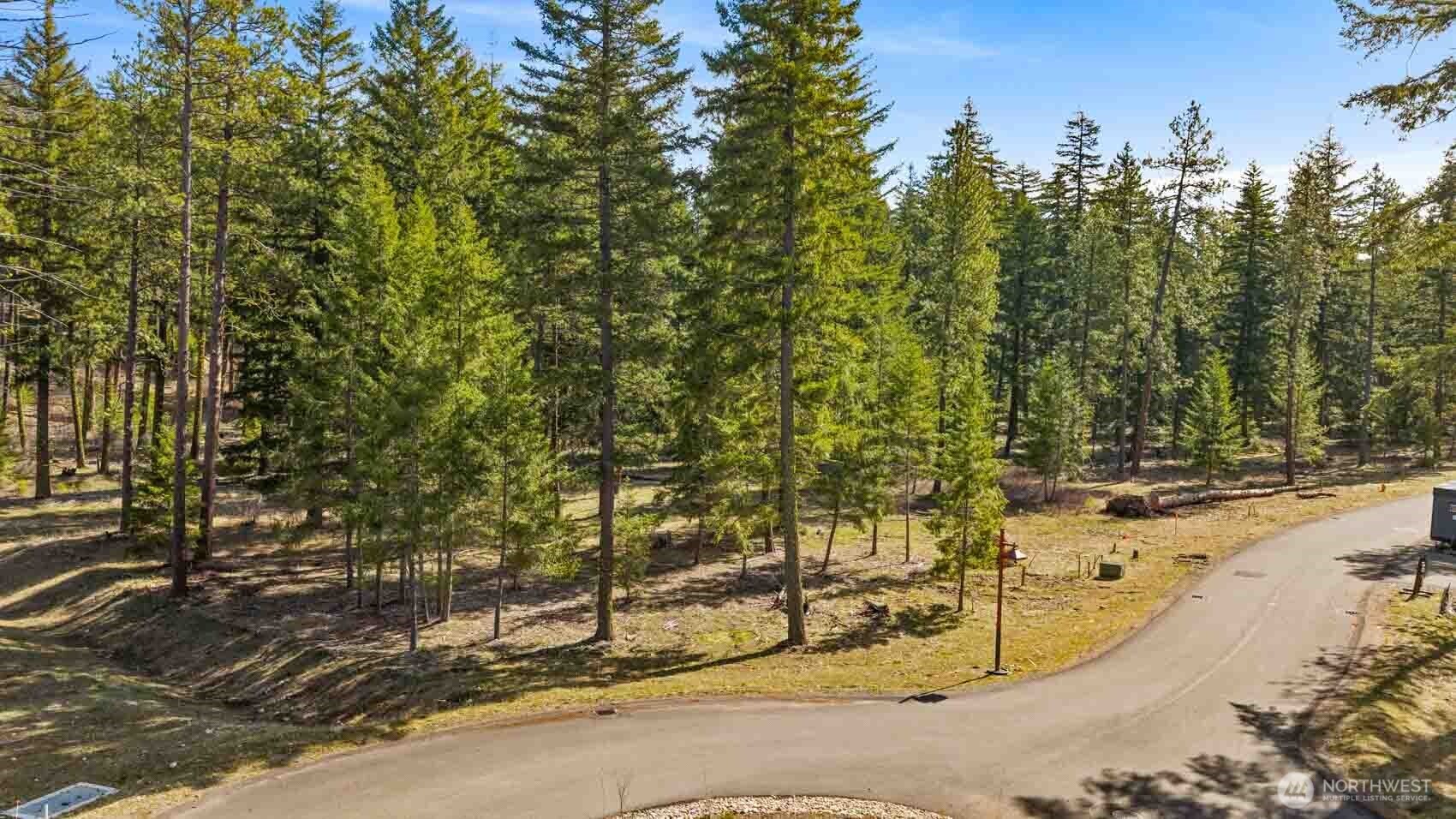 60 Wanawish Loop Ronald, WA 98940 - Photo 8 of 14 a view of a yard with large trees