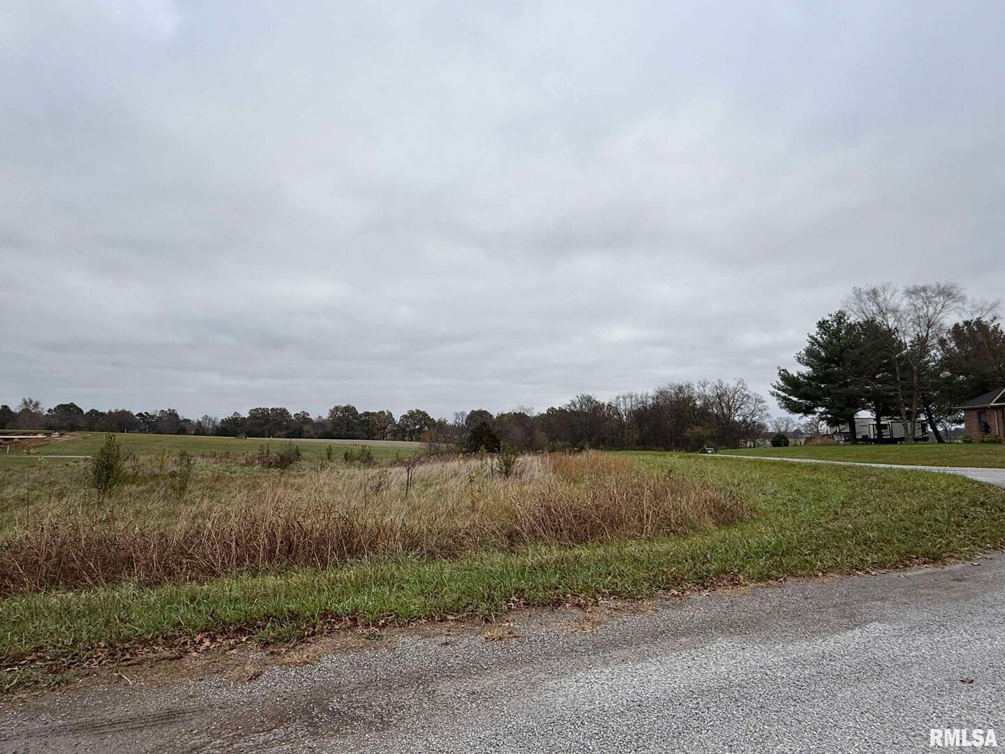 0 Clark Lane Metropolis, IL 62960 - Photo 5 of 7 a view of a lake with houses in the back
