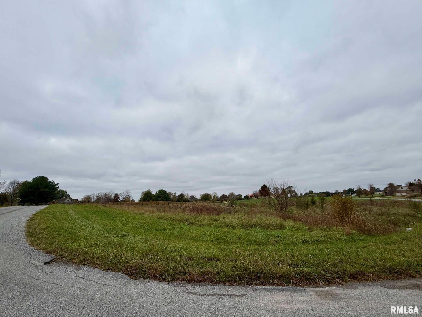0 Clark Lane Metropolis, IL 62960 - Photo 6 of 7 an aerial view of a city and mountain view in back