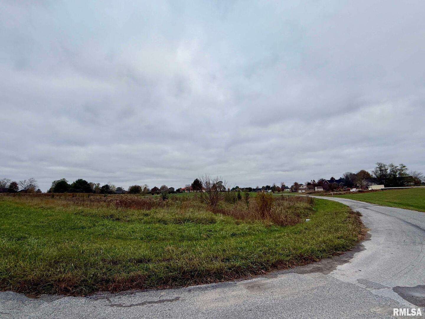 0 Clark Lane Metropolis, IL 62960 - Photo 7 of 7 a view of a lake with houses in back
