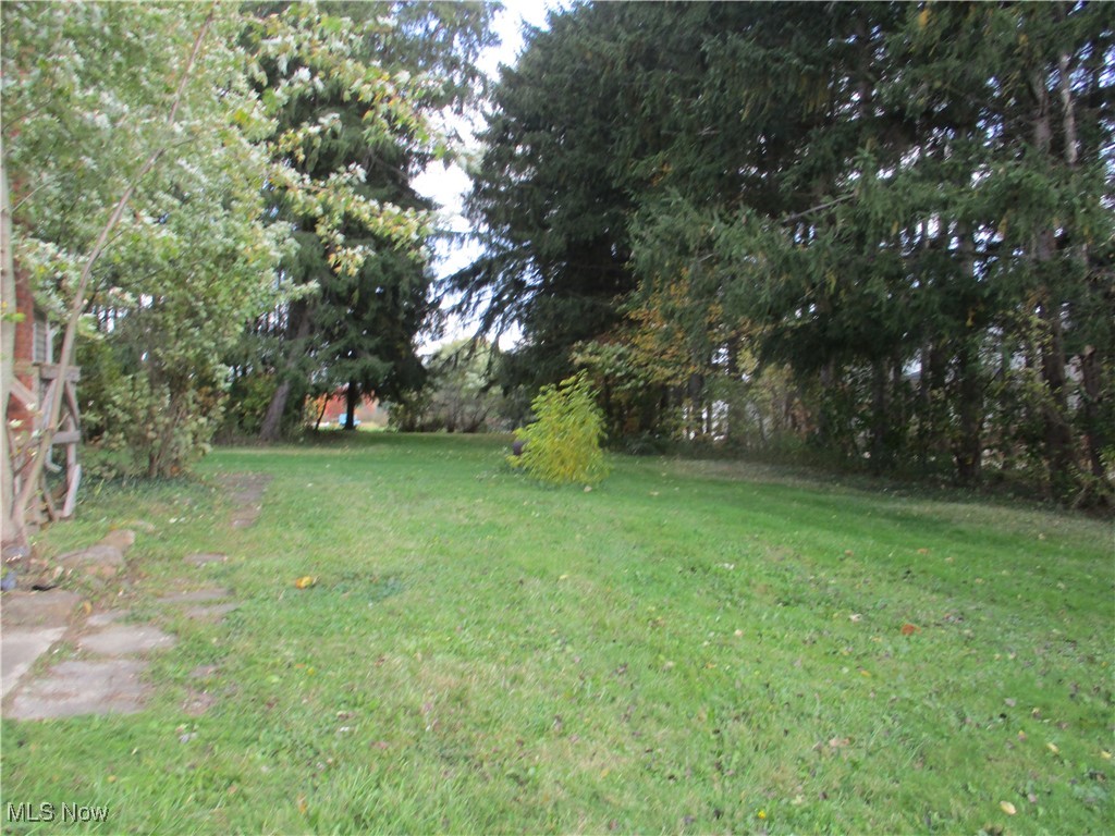 15401 A Madison Road Middlefield, OH 44062 - Photo 2 of 17 Back yard