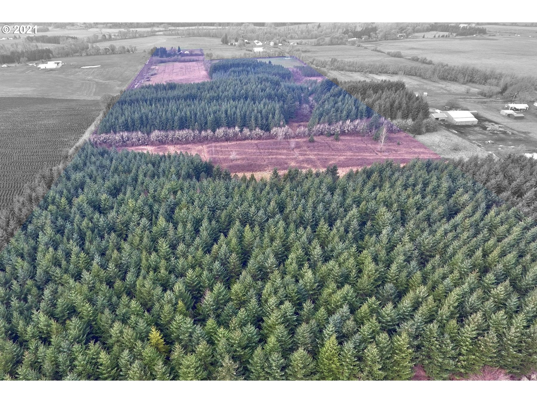 9450 Harmony Road Sheridan, OR 97378 - Photo 8 of 25