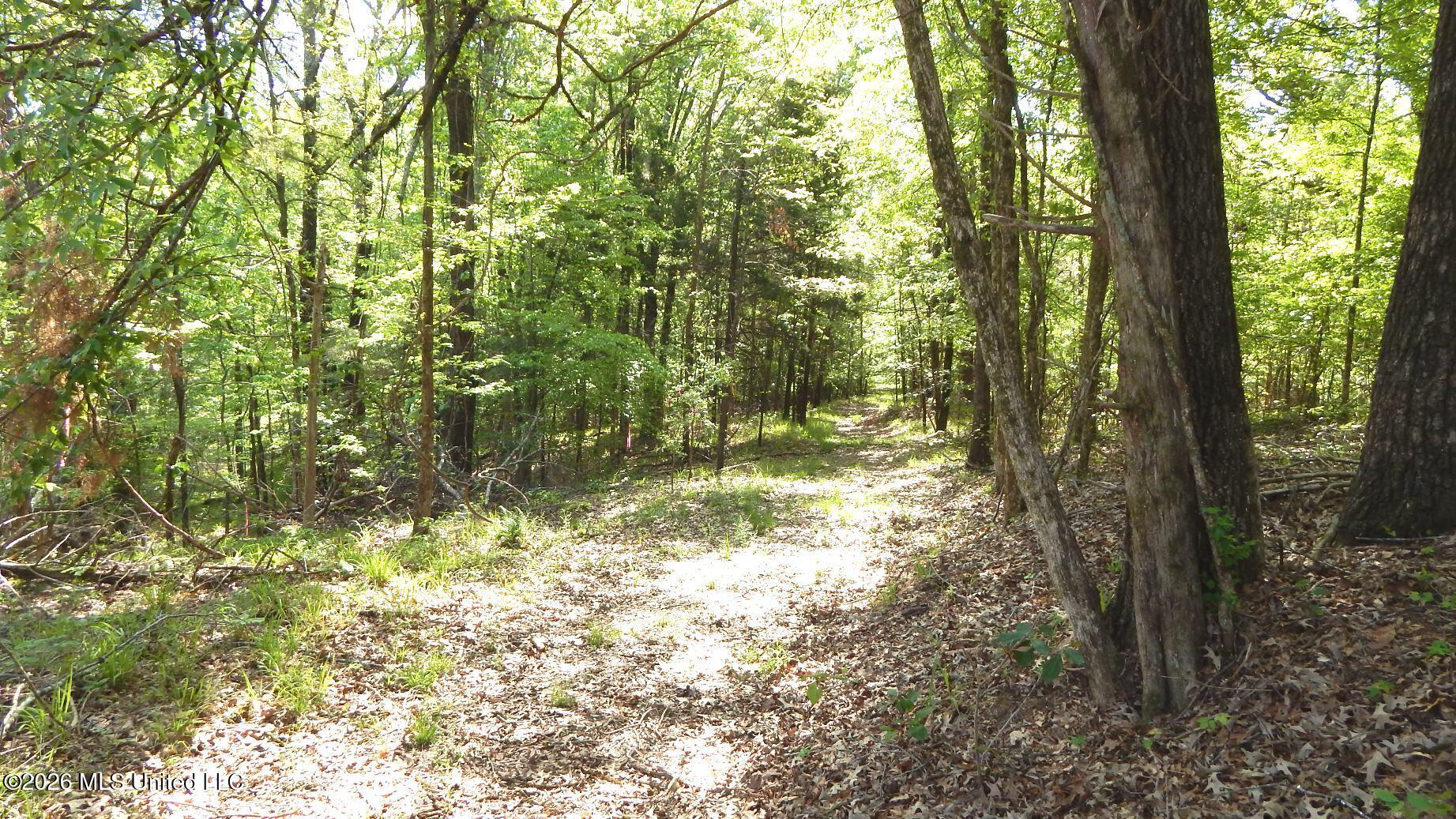 50 Nelia Road Grenada, MS 38901 - Photo 11 of 21 DSCN7403