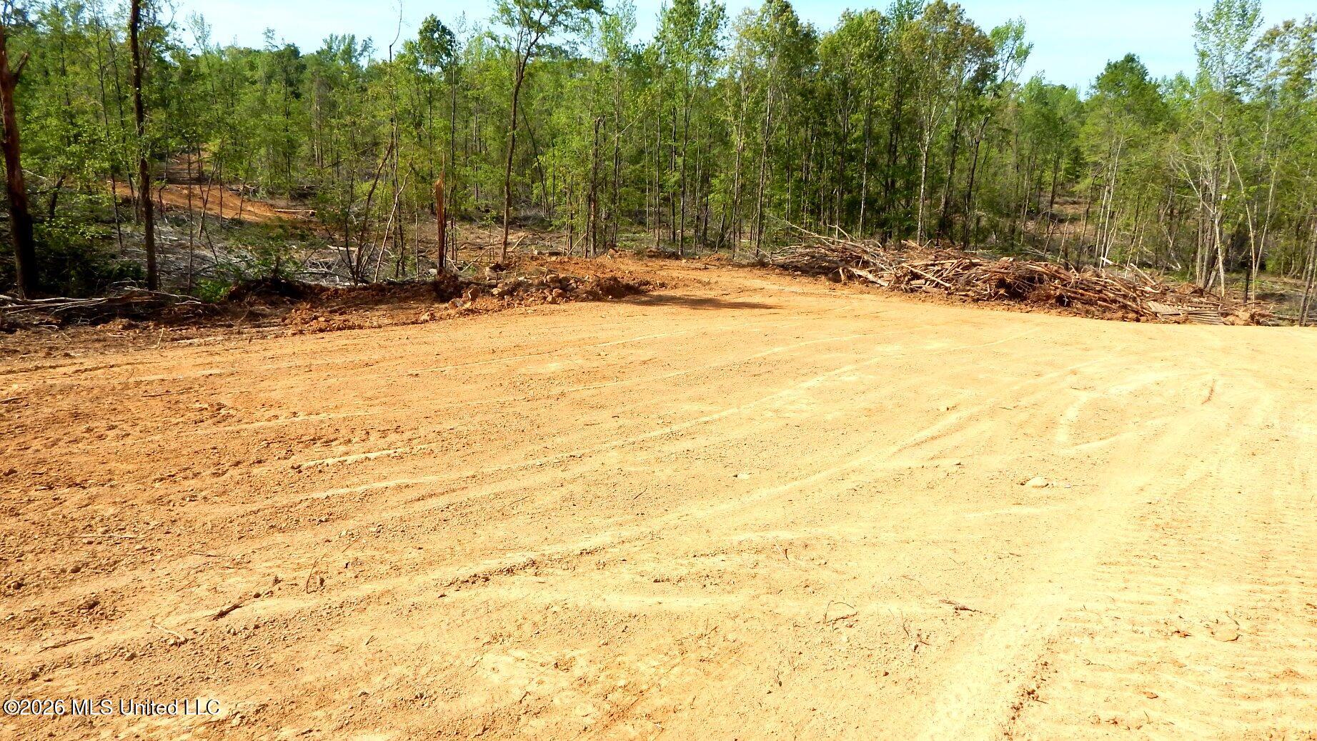 50 Nelia Road Grenada, MS 38901 - Photo 4 of 21 DSCN7396