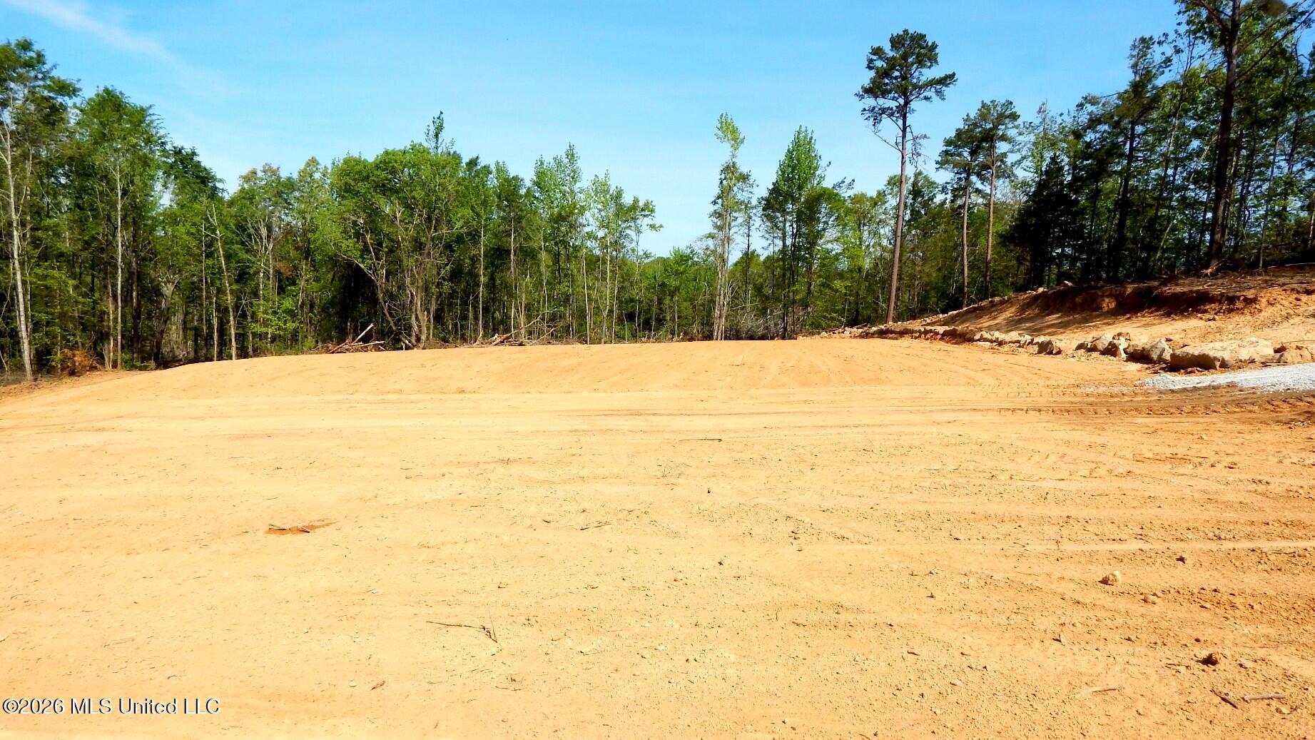 50 Nelia Road Grenada, MS 38901 - Photo 5 of 21 DSCN7397