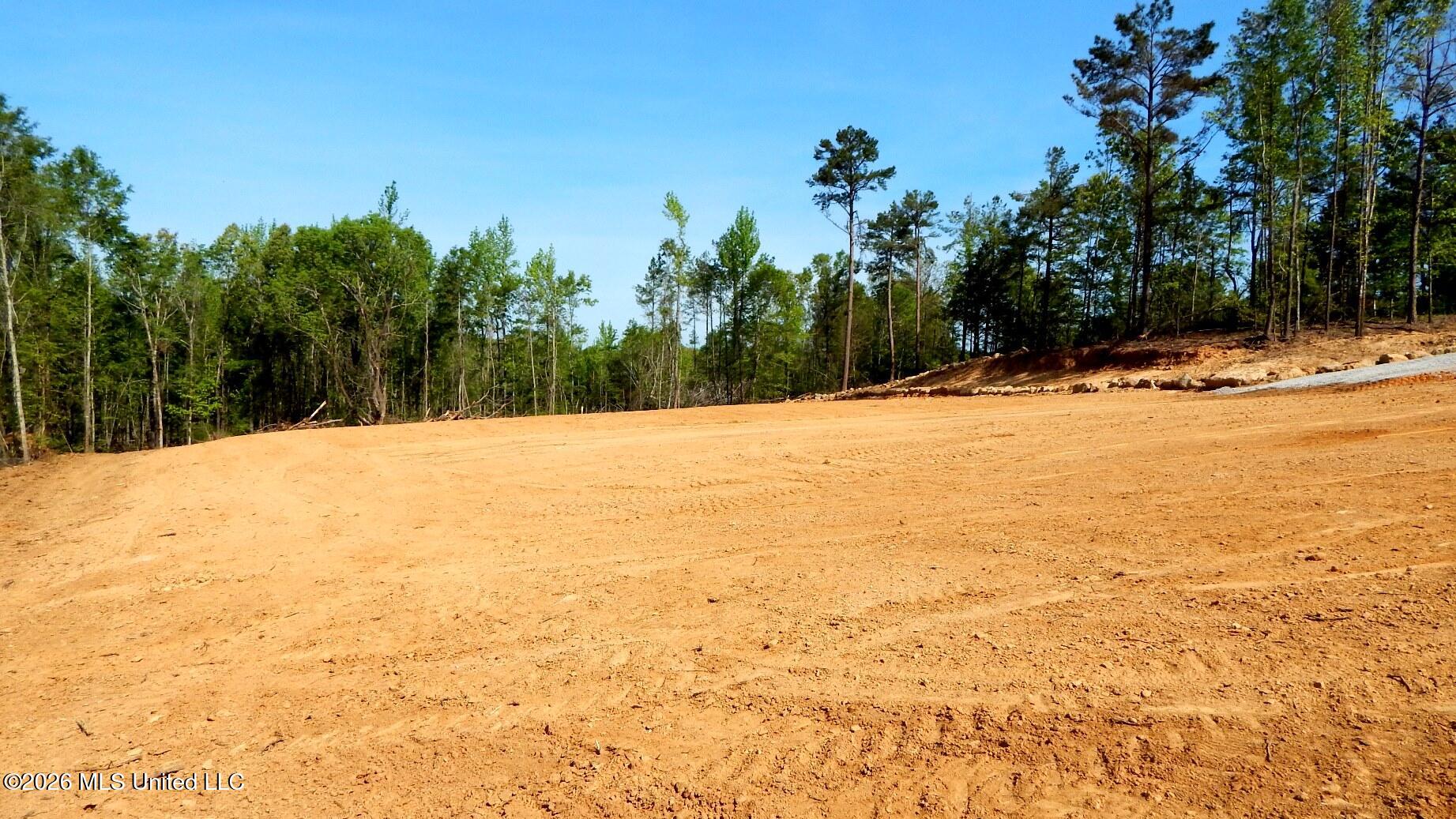 50 Nelia Road Grenada, MS 38901 - Photo 8 of 21 DSCN7400