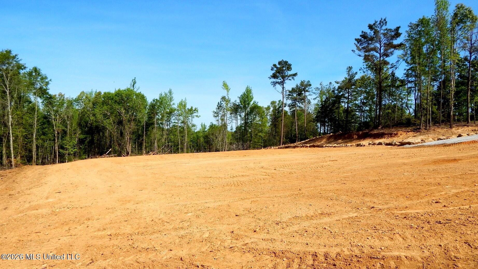 50 Nelia Road Grenada, MS 38901 - Photo 9 of 21 DSCN7401