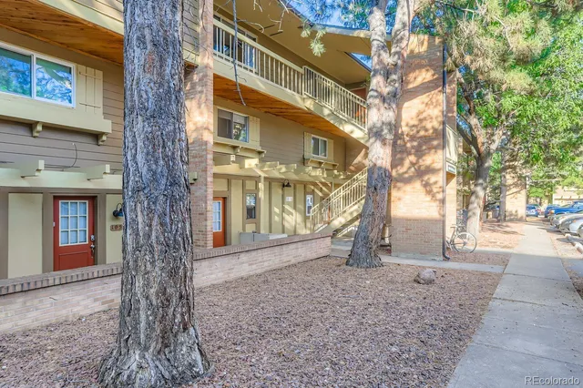 a tree in front of a building