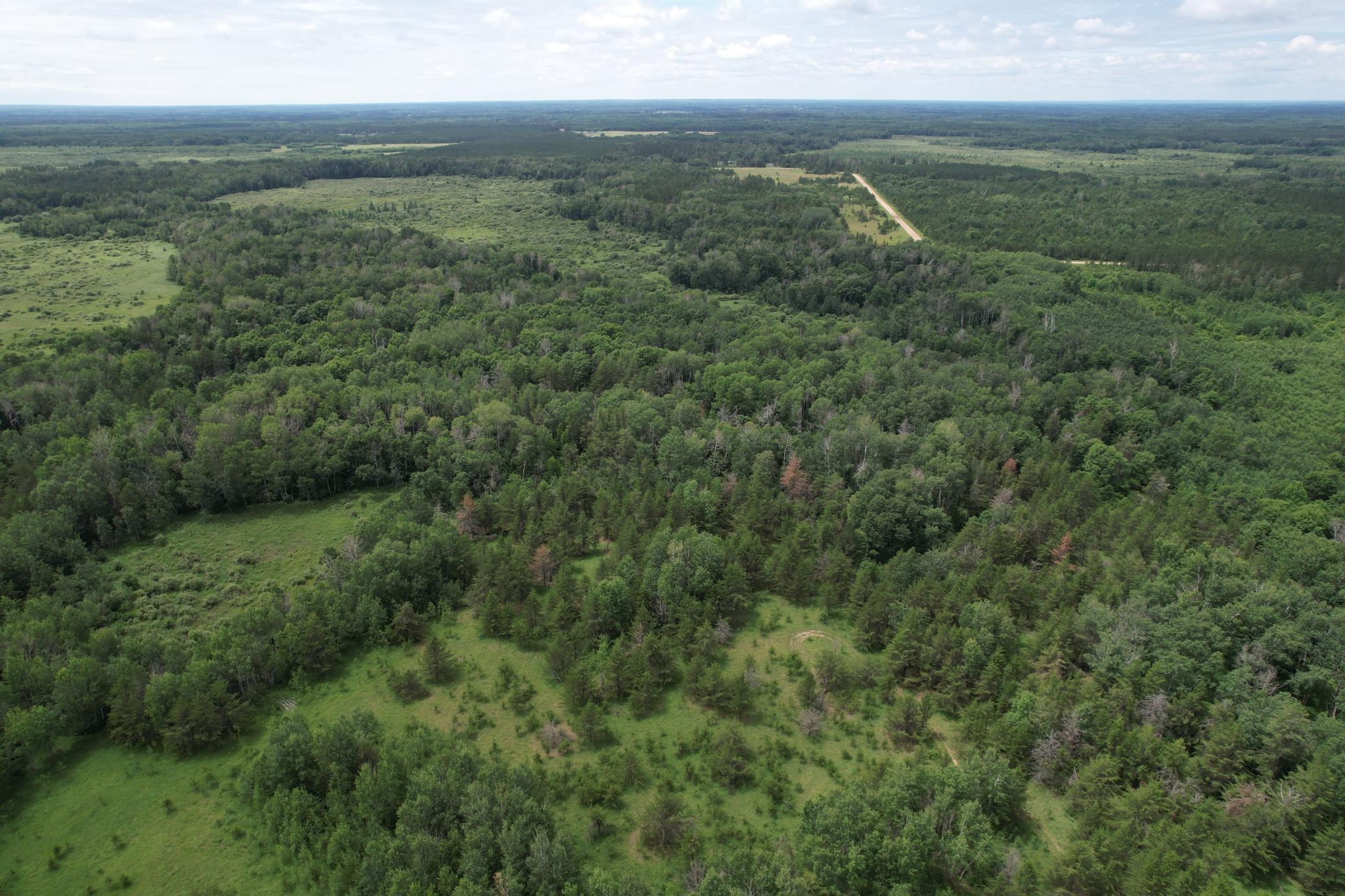Tbd 350th Street Sebeka, MN 56477 - Photo 27 of 100