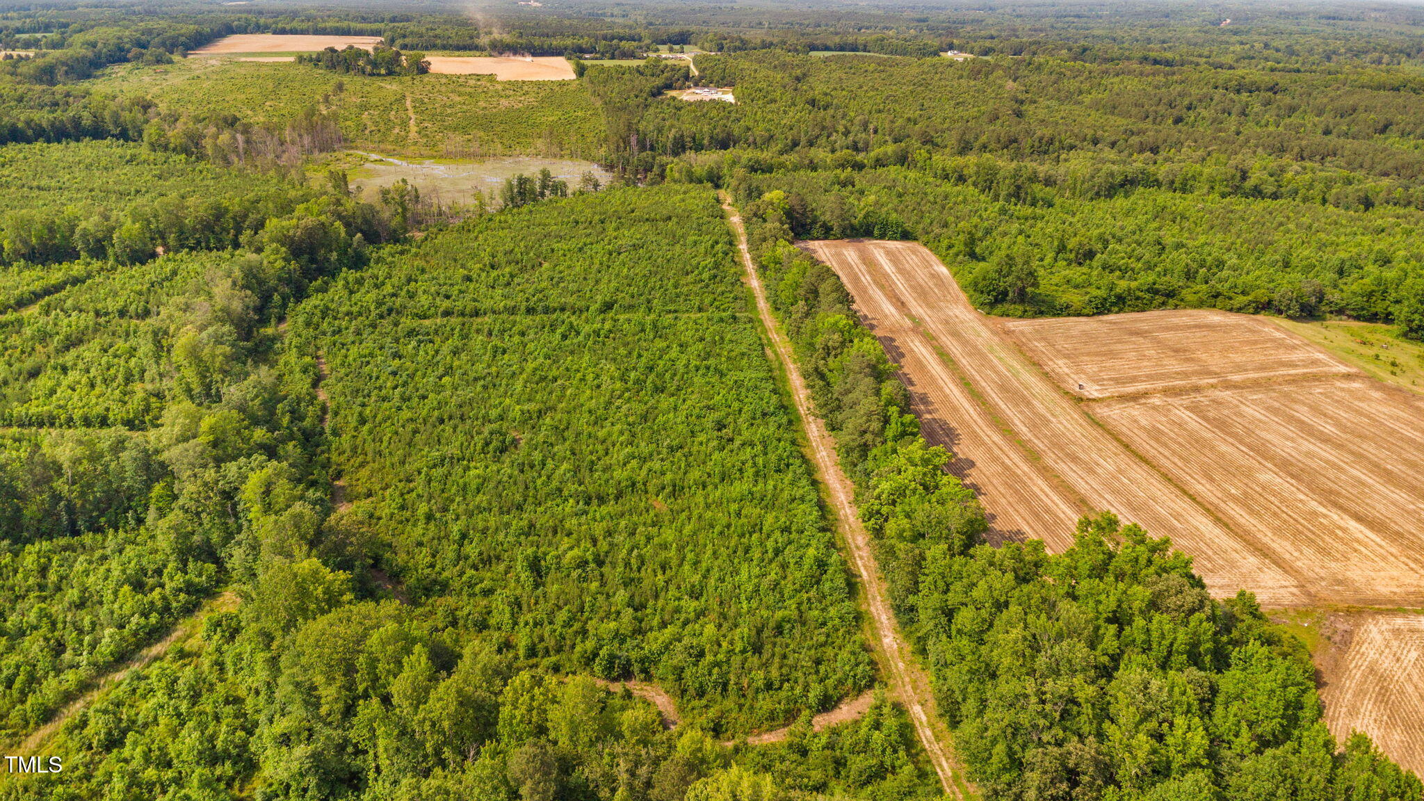 1390 Nick Coley Road Whitakers, NC 27891 - Photo 32 of 37 36-web-or-mls-1390-nick-coley-rd