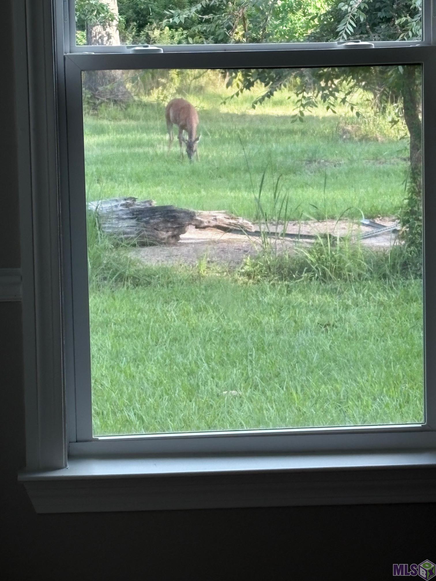 26810 Highway 22 Springfield, LA 70462 - Photo 32 of 41