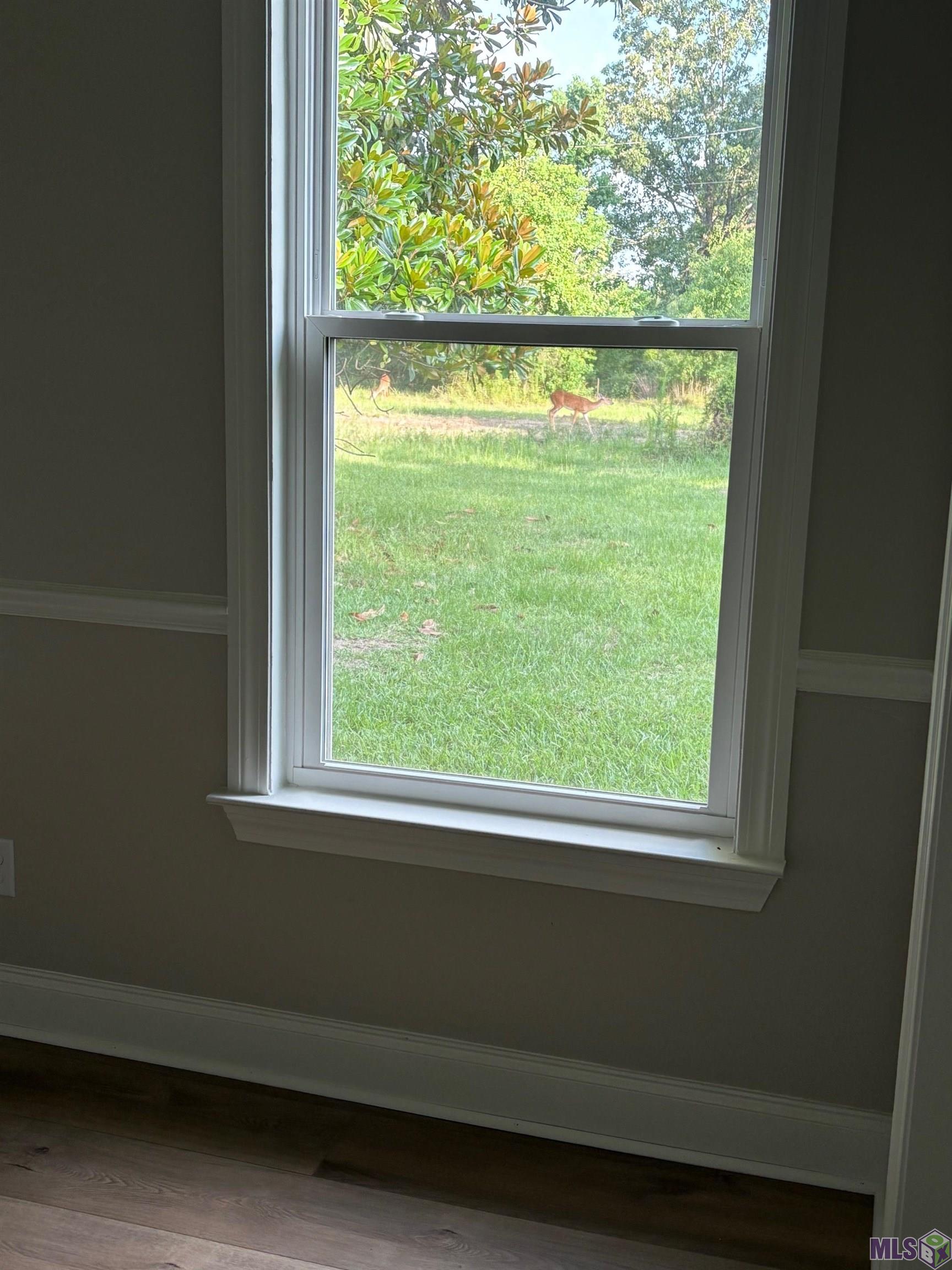 26810 Highway 22 Springfield, LA 70462 - Photo 33 of 41