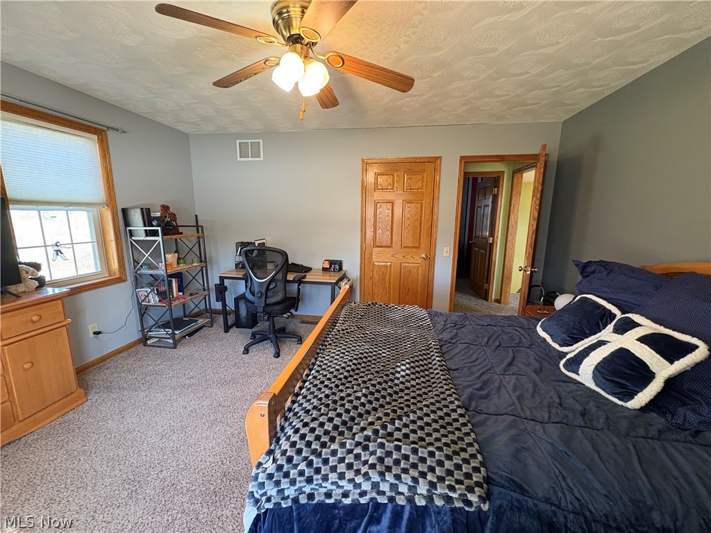 67174 Pancoast Road Belmont, OH 43718 - Photo 34 of 46