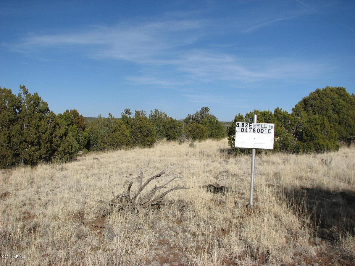 8182 East Well Road, Unit 1 Show Low, AZ 85901 - Photo 1 of 8 Fernandes-8182 Well-8