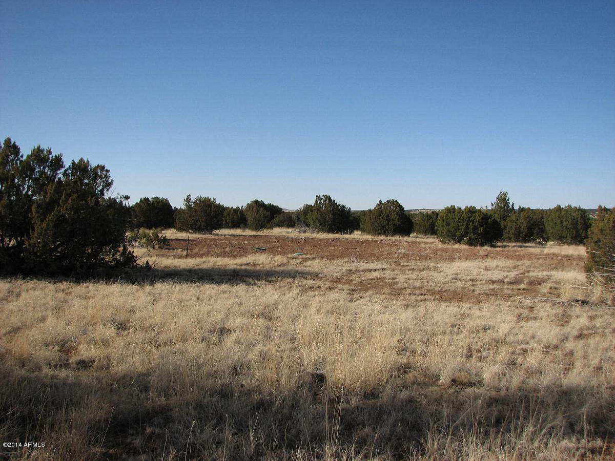 8182 East Well Road, Unit 1 Show Low, AZ 85901 - Photo 2 of 8 Fernandes-8182 Well