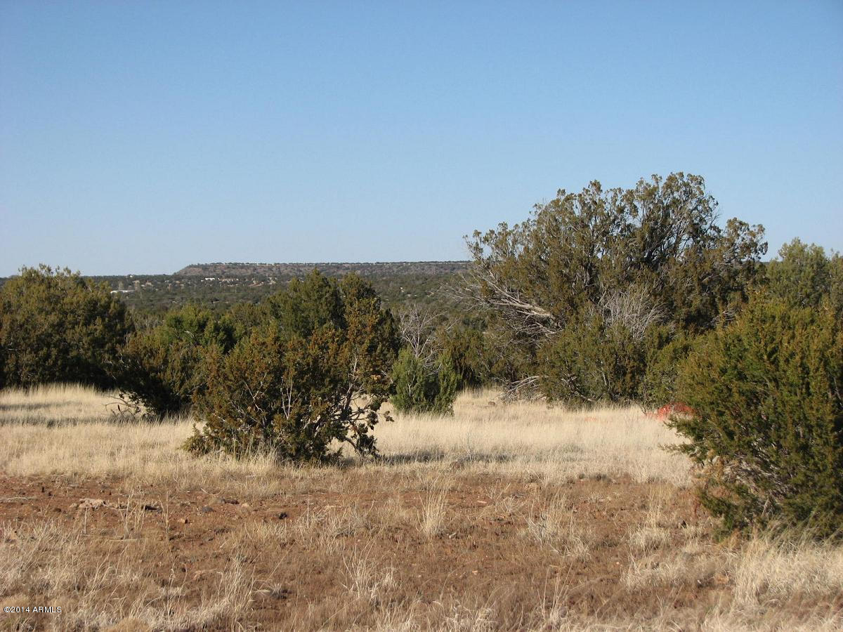 8182 East Well Road, Unit 1 Show Low, AZ 85901 - Photo 3 of 8 Fernandes-8182 Well-2