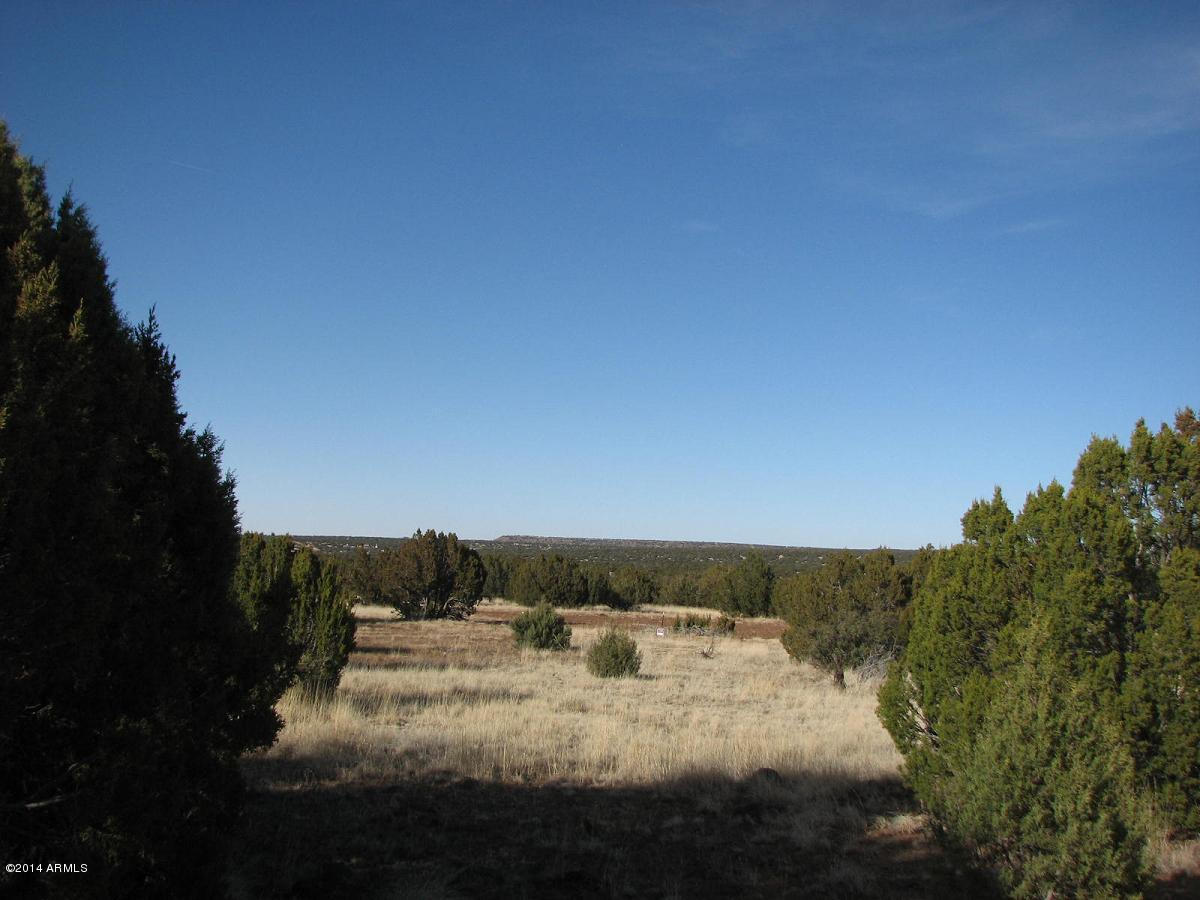 8182 East Well Road, Unit 1 Show Low, AZ 85901 - Photo 5 of 8 Fernandes-8182 Well-4