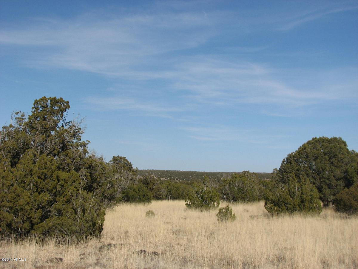 8182 East Well Road, Unit 1 Show Low, AZ 85901 - Photo 7 of 8 Fernandes-8182 Well-6