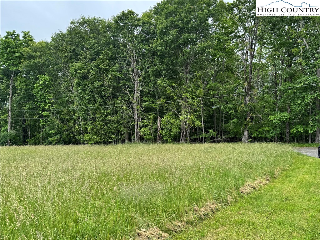 Hub Brown Road Boone, NC 28607 - Photo 6 of 6 a view of field with trees in the background
