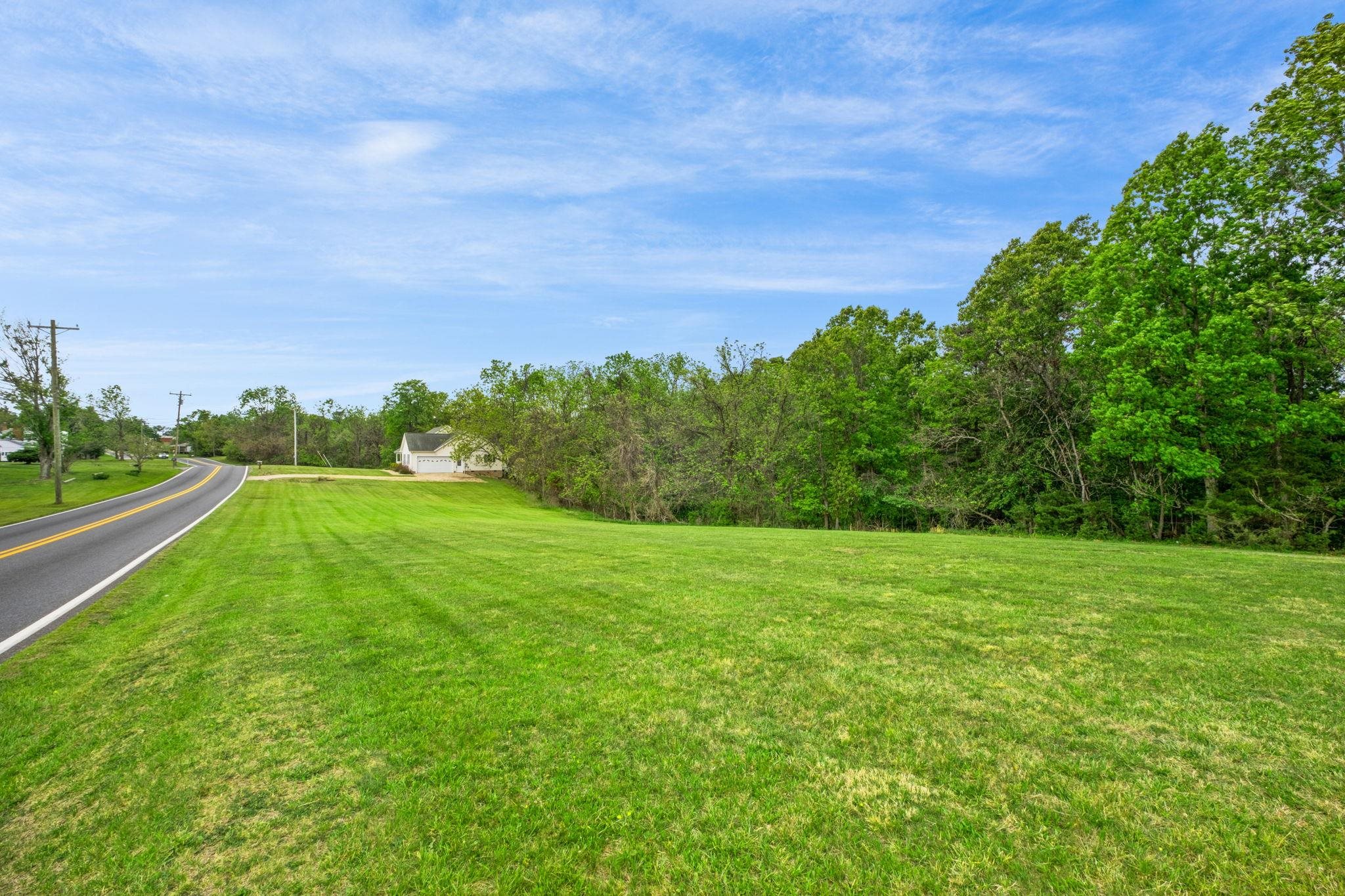 1456 New Hope Road Staunton, VA 24401 - Photo 39 of 46 a view of a big yard with plants and large trees