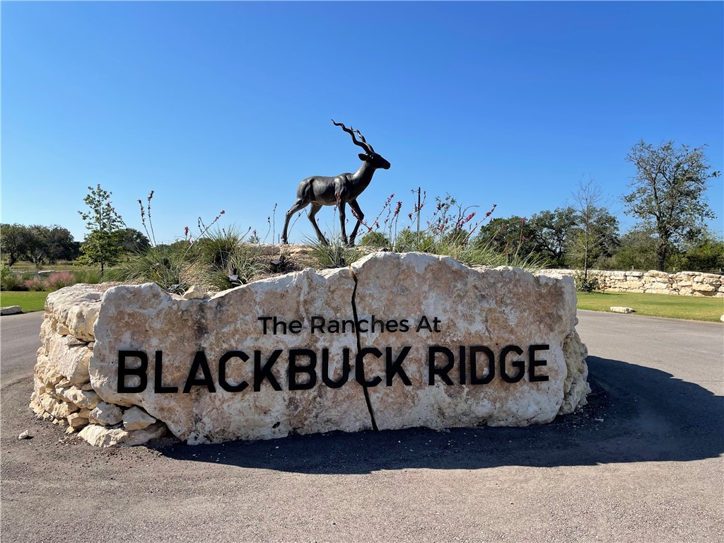 3 Sable Pass Lampasas, TX 76550 - Photo 1 of 1