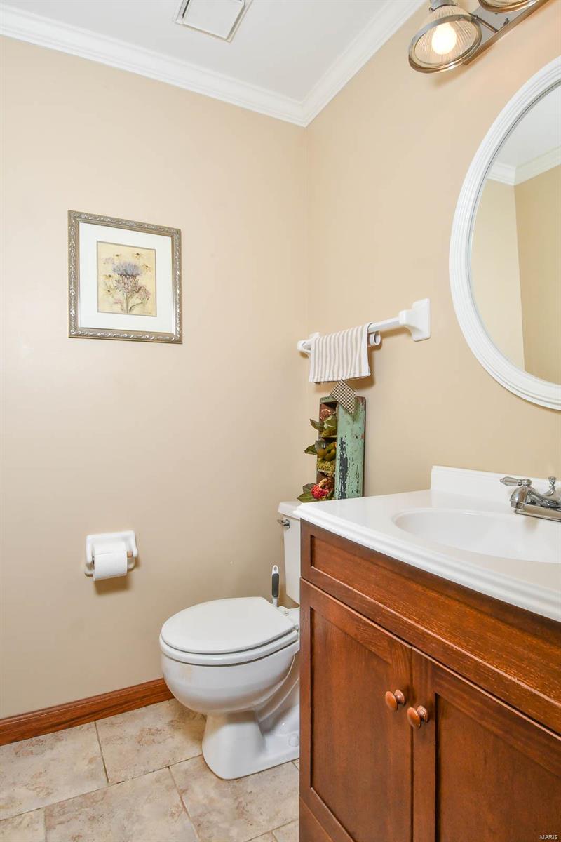 226 Cleta Court Ballwin, MO 63021 - Photo 21 of 45 Gallery Image 21