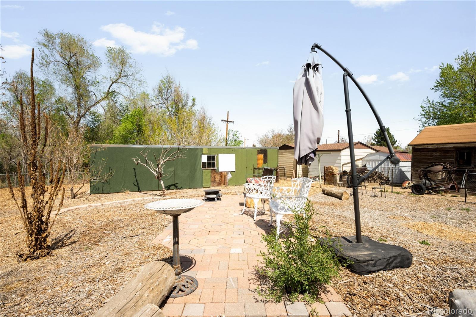 6800 Monaco Street Commerce City, CO 80022 - Photo 25 of 29 a view of yard along with trees