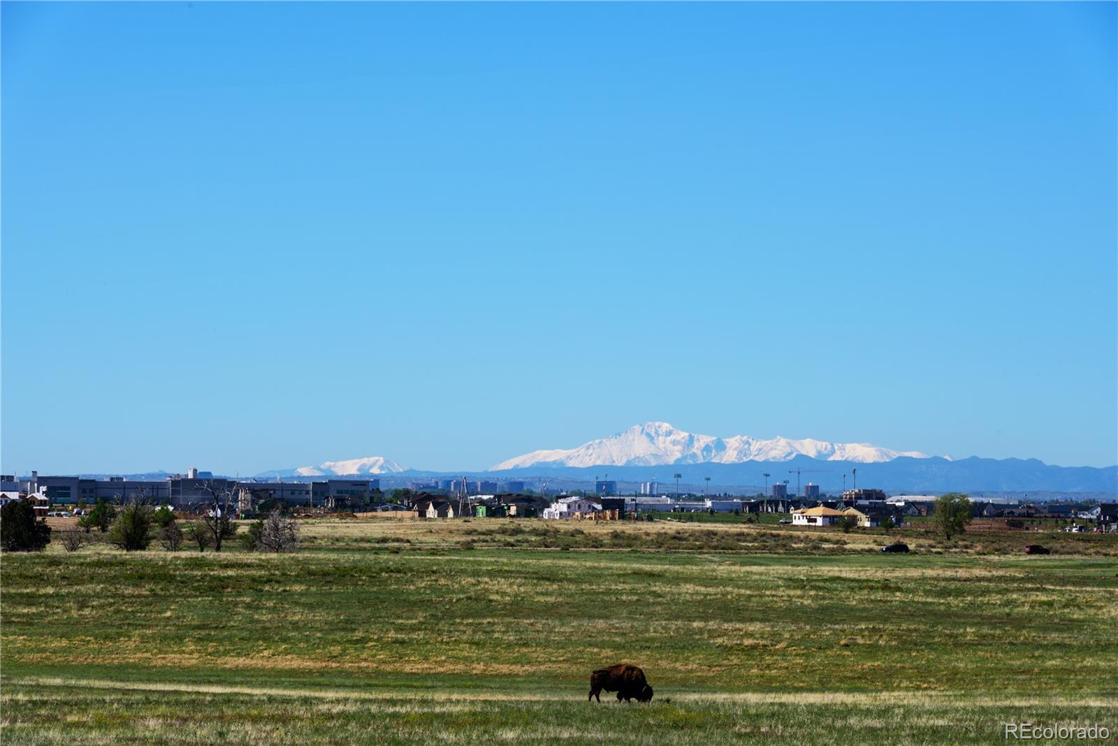 6800 Monaco Street Commerce City, CO 80022 - Photo 28 of 29 a view of a ocean with city view