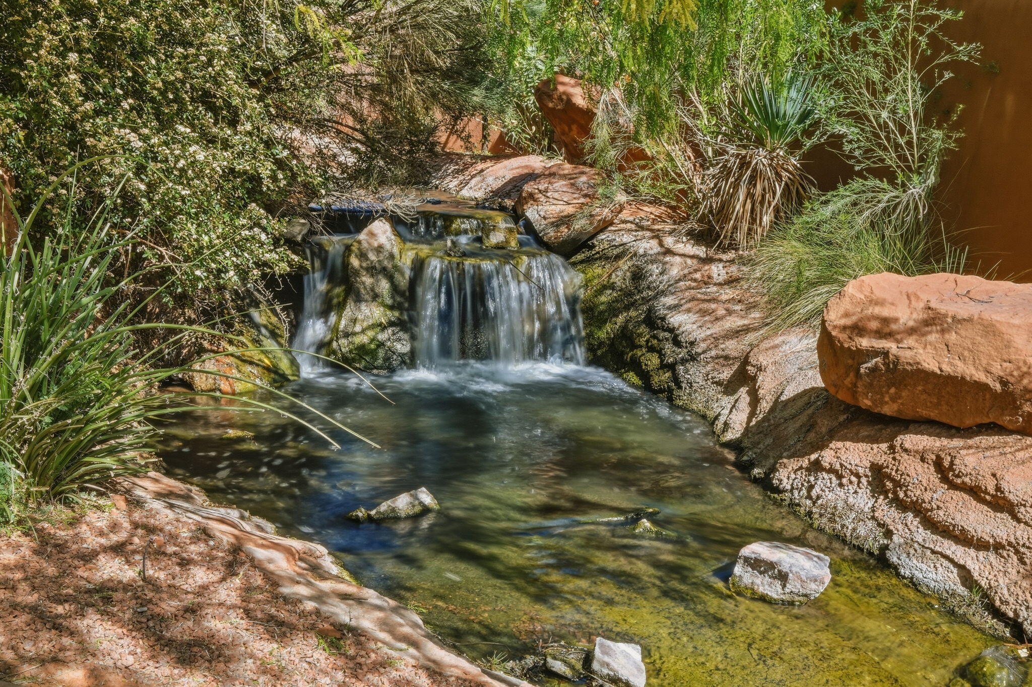 2331 West Entrada Trail, Unit 85 St. George, UT 84770 - Photo 32 of 34 Backyard Waterfall