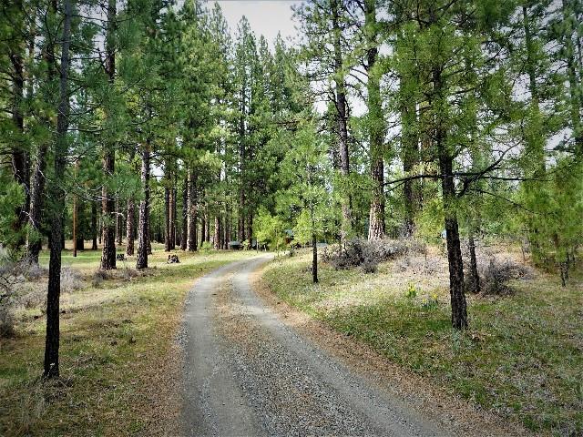 1065 Clio State 40A Road Clio, CA 96106 - Photo 15 of 21 Gallery Image 15