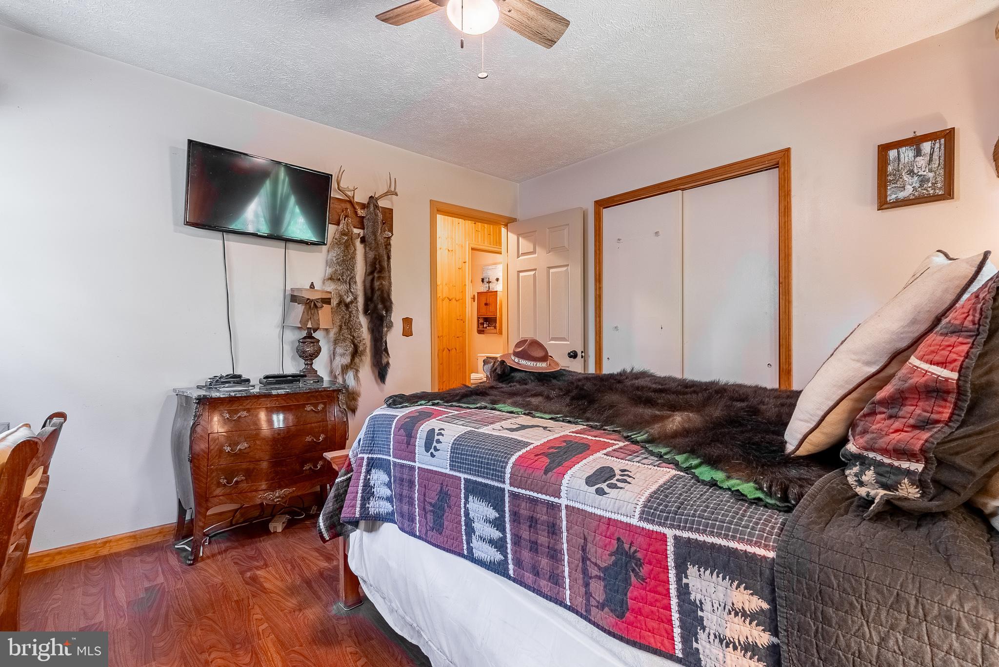 2598 Mountain View Road Purgitsville, WV 26852 - Photo 40 of 89